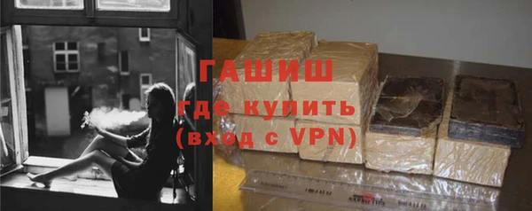 шишки Сатка