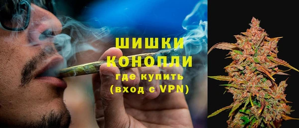 шишки Сатка