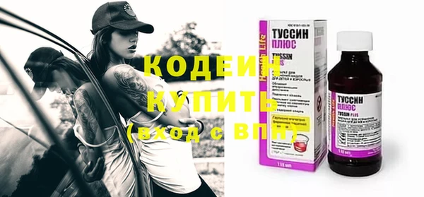 шишки Сатка