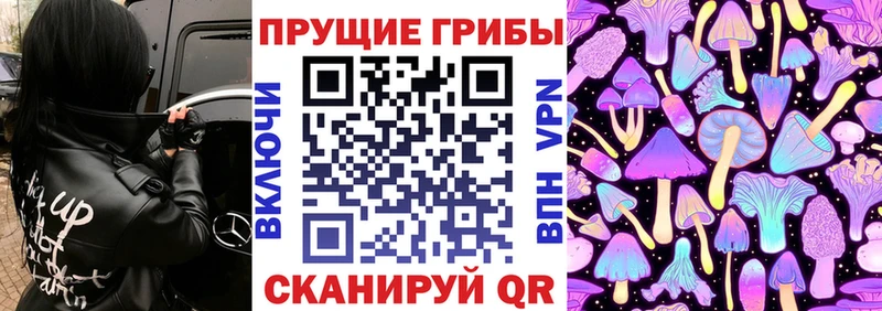 где купить блэк спрут вход Псилоцибиновые грибы Magic Shrooms Сатка